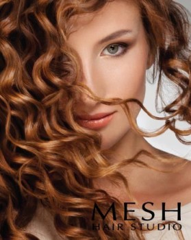 Mesh Hair Studio