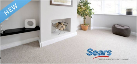 Sears Carpet and Upholstery Cleaning