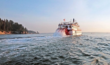 Harbour Cruises & Events